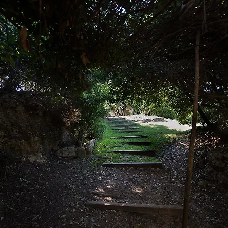 Villa Feia Katakolo Exterior photo