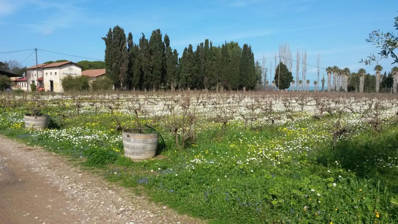 Villa Feia *